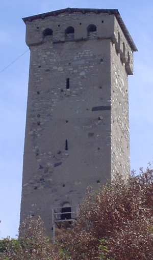 Svan tower